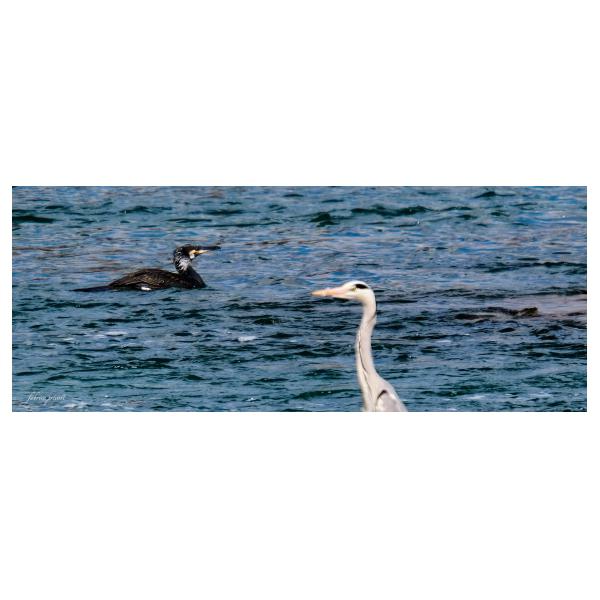 PHOTO84, CLUB, 84 , LUBERON